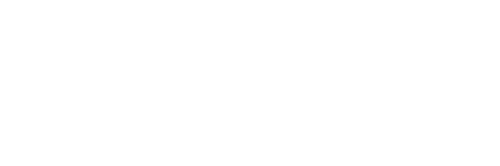 Southern Trace logo white